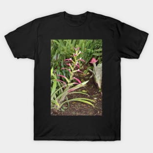 Bromeliads T-Shirt